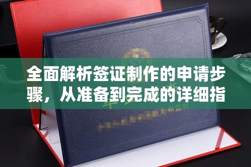 白河全面解析签证制作的申请步骤，从准备到完成的详细指南